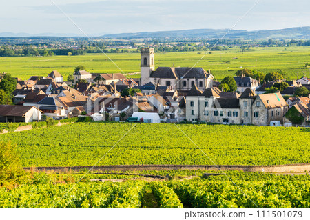 Vineyards and Pommard village, Burgundy in France. 111501079
