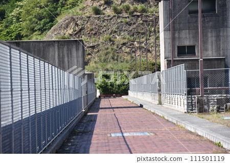 pedestrian bridge surrounded by greenery pedestrian bridge surrounded by greenery 111501119