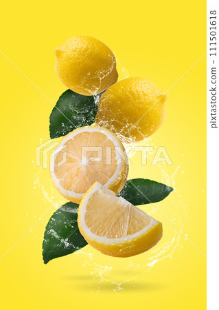 Fresh Yellow Lemon and Yellow Lemon slices with water splashing on a yellow background 111501618
