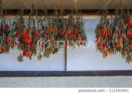 Sun-dried chili peppers under the eaves of a farmhouse Sun-dried chili peppers under the eaves of a farmhouse 111501691