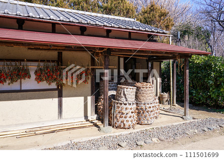 Sun-dried chili peppers under the eaves of a farmhouse 111501699