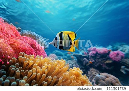 Tropical Butterflyfish swimming on underwater colorful coral reef background deep in the ocean 111501789