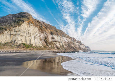 「千葉縣」屏風浦，東方的多佛 111501938