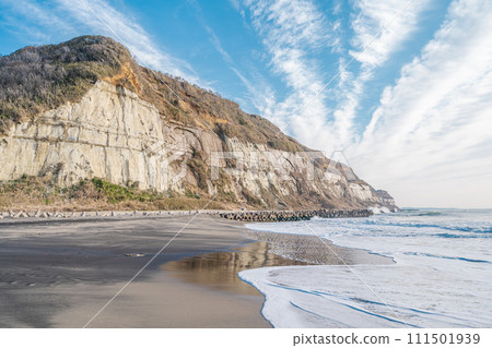 「千葉縣」屏風浦,東方的多佛 「千葉縣」屏風浦,東方的多佛 111501939