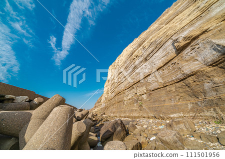 「千葉縣」屏風浦,東方的多佛 「千葉縣」屏風浦,東方的多佛 111501956