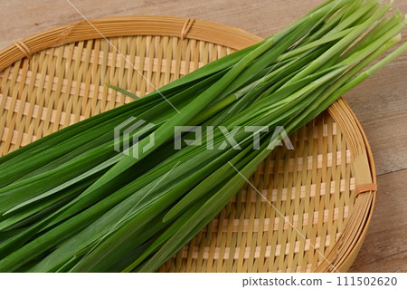 Chives, chives, chives, vegetables, leafy vegetables. 111502620