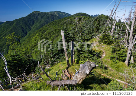 Mountain range towards Mt. Hikaru seen from Kibomine in the Southern Alps 111503125