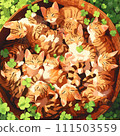 Basket cat (Bengal kitten)⑨ 111503559