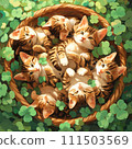 Basket cat (Bengal kitten) ⑥ 111503569