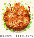 Basket cat (Bengal kitten) ④ 111503575