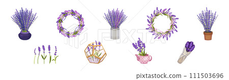 Bunch of Lavender Twigs and Branches Vector Set 111503696