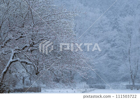 有大雪的冬季公園 有大雪的冬季公園 111503722
