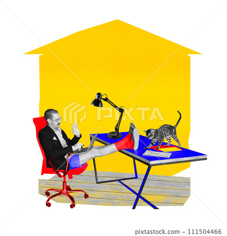 Man half wearing formal wear and home wear, sitting at home with cat and leading online video call on laptop. Remote work. Contemporary art collage. 111504466