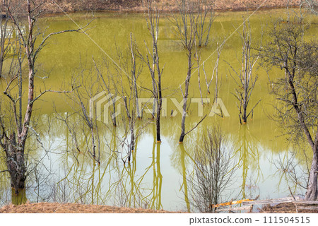 Green waste waters from a copper mine polluting the environment. Geamana decantation lake, Romania Green waste waters from a copper mine polluting the environment. Geamana decantation lake, Romania 111504515