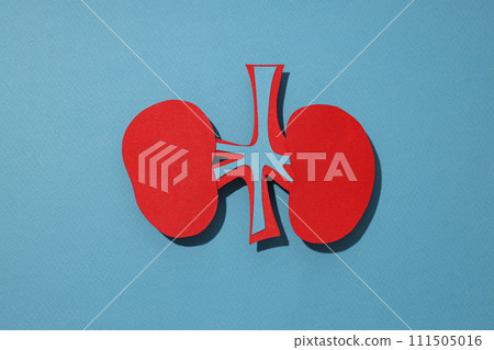 Health care concept, kidneys on a blue background. 111505016