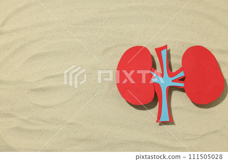 Kidneys on the sand with stones, National Kidney Month. Kidneys on the sand with stones, National Kidney Month. 111505028