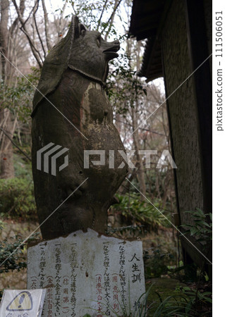 Shigaraki raccoon dumpling 111506051