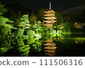 Rurikoji Temple National Treasure Light-up Night View 111506316