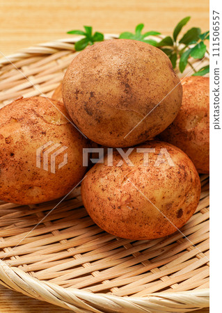 Potatoes Potatoes 111506557