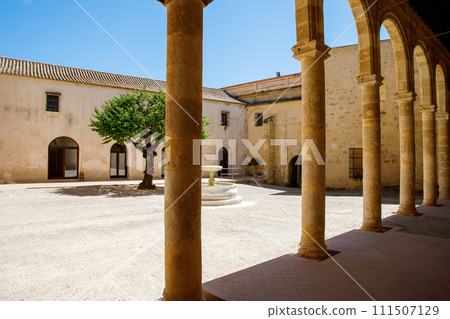 Palacio de los Enriquez de Ribera in Bornos, pueblos blancos region, Andalusia, Spain, Europe 111507129