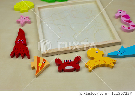 Details of an educational puzzle 111507237