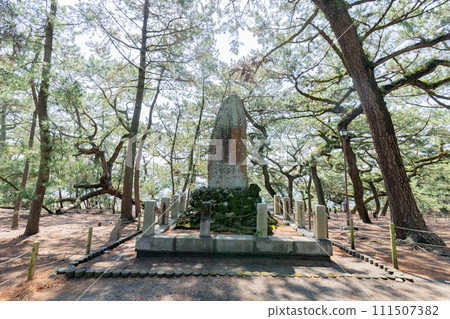 Miho no Matsubara New Sankei Monument 111507382