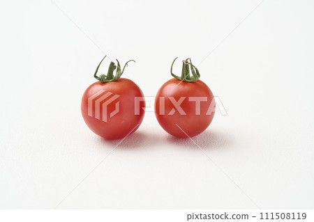  櫻桃西紅柿 111508119