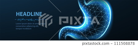 Abstract wireframe stomach illustration. Stomach anatomy, 3D gastroenterology 111508878