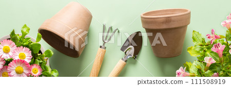 Flowers on a green background Flowers on a green background 111508919