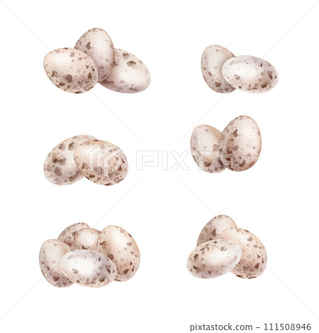 Three quail eggs shell. Symbols of Easter for design. Watercolor hand drawn painting illustration isolated on a white background. Set of pastel color eggs illustrations in minimalist style. Three quail eggs shell. Symbols of Easter for design. Watercolor hand drawn painting illustration isolated on a white background. Set of pastel color eggs illustrations in minimalist style. 111508946