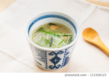 plain soup 111509125