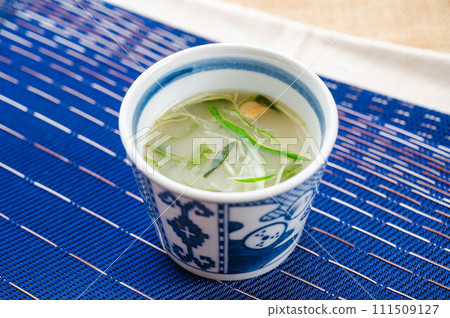 plain soup 111509127