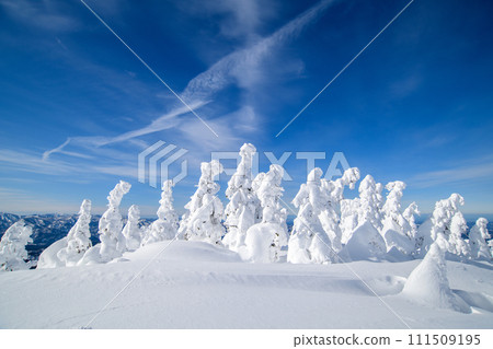 Mt. Moriyoshi in winter, spectacular view of Juhyodaira, Akita Prefecture 111509195