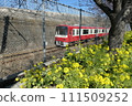 Nanohana and Keikyu Line 111509252