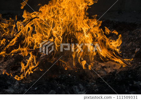 Flame, kindling, fire, powerful flame, blazing flame Flame, kindling, fire, powerful flame, blazing flame 111509331