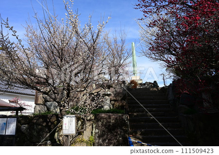The castle tower of Kuwana Castle where plum blossoms bloom (castle ruins) The castle tower of Kuwana Castle where plum blossoms bloom (castle ruins) 111509423