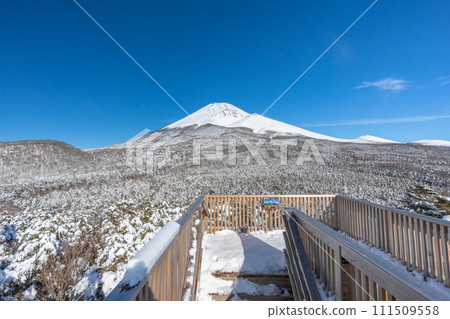 從水塚公園越切塚展望台眺望富士山冬景 富士山第二合目 111509558