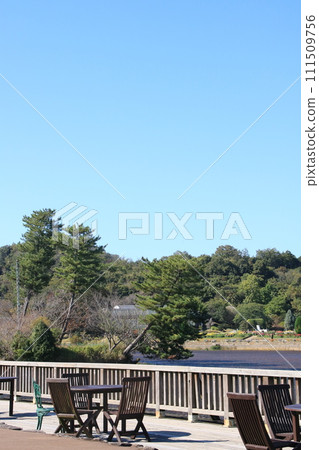 兵庫縣立花卉中心池塘露台的秋景(兵庫縣葛西市) 兵庫縣立花卉中心池塘露台的秋景(兵庫縣葛西市) 111509756