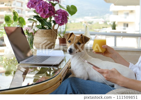 Woman working with a dog on her lap 111509851