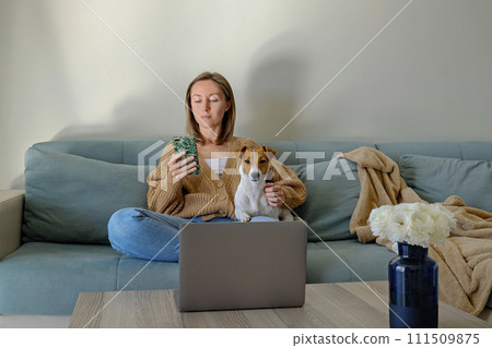Young beautiful woman sitting on the couch, scrolling her phone. Female working from home with jack russell terrier puppy in living room of her apartment. Interior, background, close up, copy space. Young beautiful woman sitting on the couch, scrolling her phone. Female working from home with jack russell terrier puppy in living room of her apartment. Interior, background, close up, copy space. 111509875