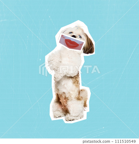Contemporary art collage. Funny and cute purebred dog with human mouth expressing ridicule. Animals with human facial expression. Contemporary art collage. Funny and cute purebred dog with human mouth expressing ridicule. Animals with human facial expression. 111510549