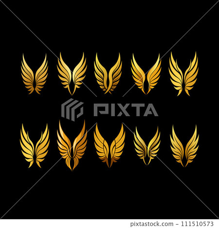 Set of vector golden wings  111510573