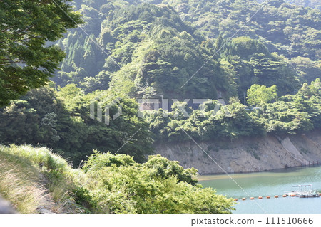 Dam lake covered in greenery Dam lake covered in greenery 111510666