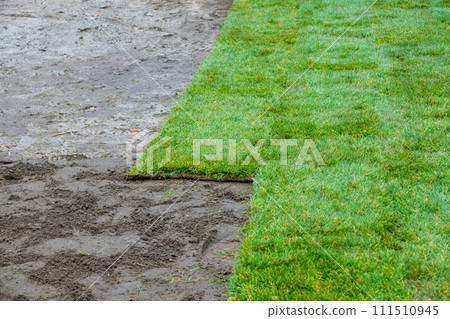 Rolls of turf natural grass are unrolled on ground for landscaping purposes by man 111510945