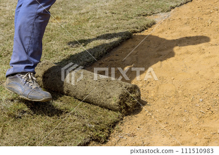 Laying natural green lawn turf rolls for new garden yard in conjunction with landscaping Laying natural green lawn turf rolls for new garden yard in conjunction with landscaping 111510983