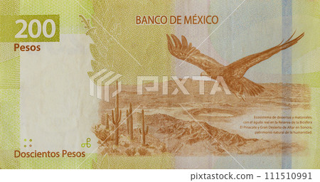 Mexico 200 pesos banknote close up Mexican money bills currency rear view 111510991