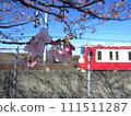 Keikyu and cherry blossoms 111511287