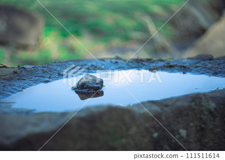 puddle of water puddle of water 111511614