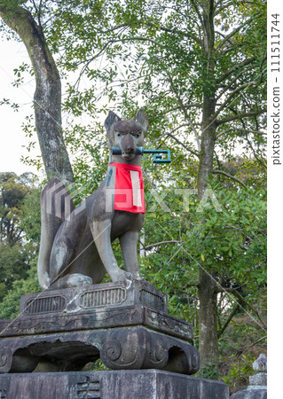 Fushimi Inari Taisha Sembon Torii Thousand Torii gates in Kyoto Japan Fushimi Inari Taisha Sembon Torii Thousand Torii gates in Kyoto Japan 111511744