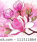 Magnolia Flowers 111511864